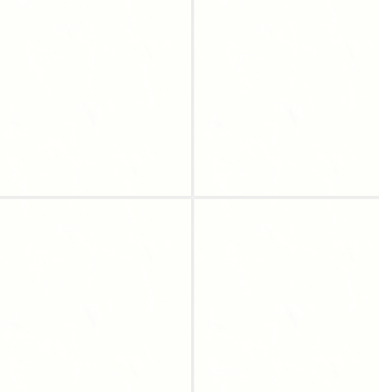 Shandar Plain White WHI