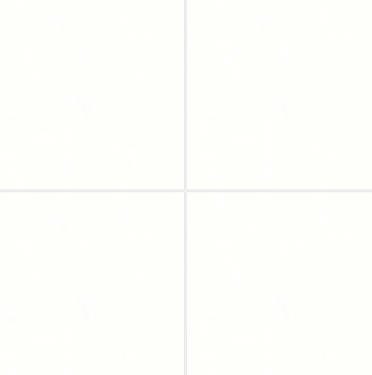 Shandar Plain White WHI