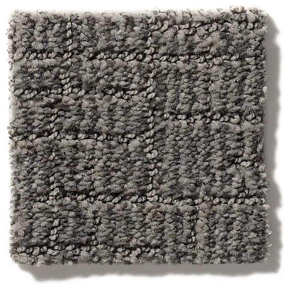 Anderson Tuftex Classics Wayfarer 00557 Sharkskin Pattern Nylon Carpet ...