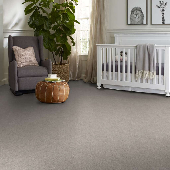 Shaw Floor Studio Around The House I Sheer Silver 00500 Textured Nylon