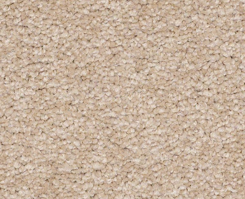 Shaw Magic Happens PV III 00148 Shell Textured Nylon Carpet — Stone ...
