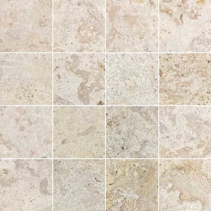 Full Tile Sample - Rustic Shellstone Tile - 12" x 24" Natural Cleft