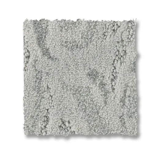 Charismatic Silence 00431