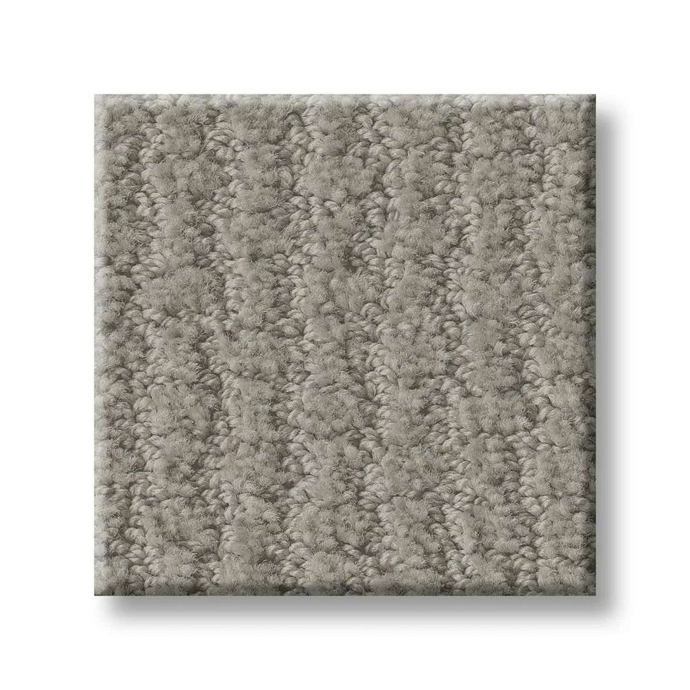Shaw Foundations Complete Control 00570 Silhouette Nylon Carpet — Stone ...