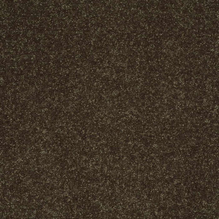 Shaw Floor Studio Home News II 15' Polyester Silken Moss 00304