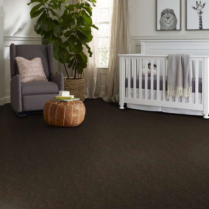 Shaw Floor Studio Home News I 15' Silken Moss 00304 Textured Polyester