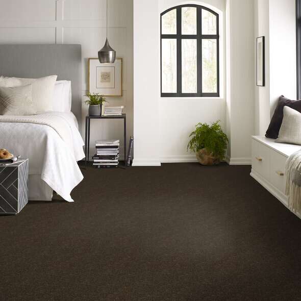 Shaw Floor Studio Home News I 15' Silken Moss Textured 00304