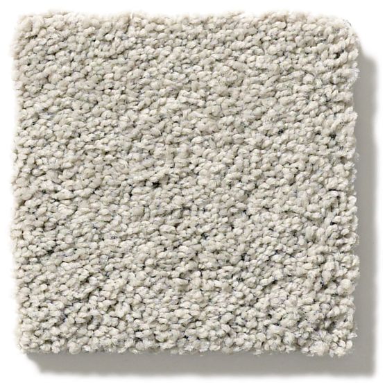 Anderson Tuftex Pet Perfect Pawparazzi II 00511 Silver Fox Carpet