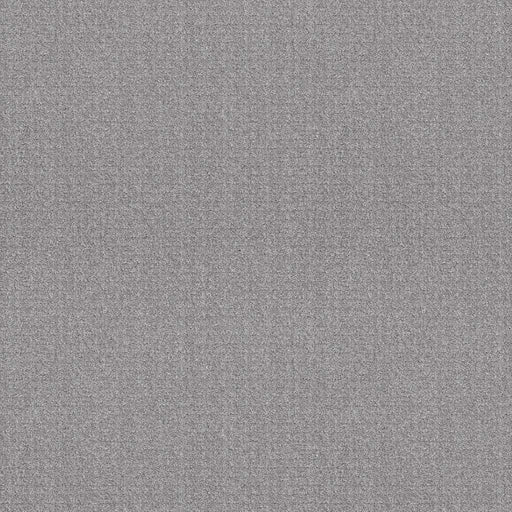Pet Perfect Plus Secret Passage Silver Lining 00500