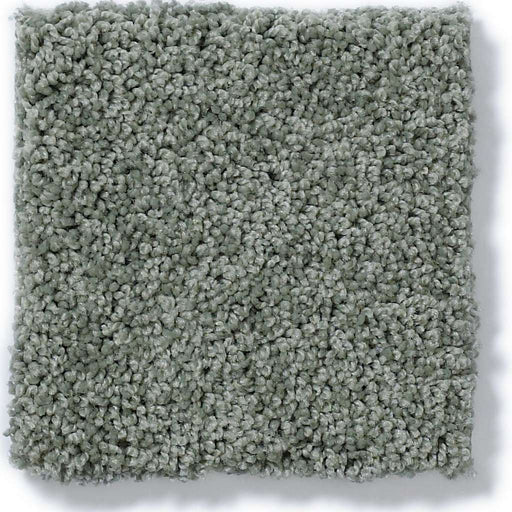 Soft Shades My Choice I Silver Sage 00350