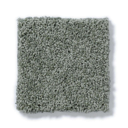 Soft Shades My Choice III Silver Sage 00350