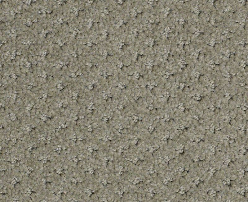 Shaw Gentle PV 00310 Silver Sage Pattern Nylon Carpet | Lowest Price ...