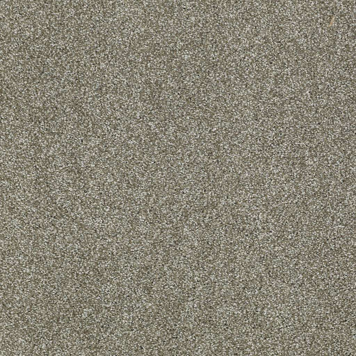 Shaw Floor Studio Gelato Nylon Silver Sage 00310