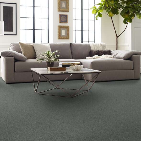 Soft Shades My Choice II Silver Sage Textured 00350