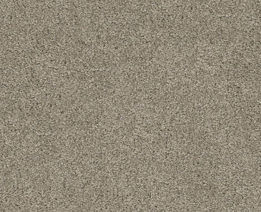 Orlando PV Silver Shadow 00563