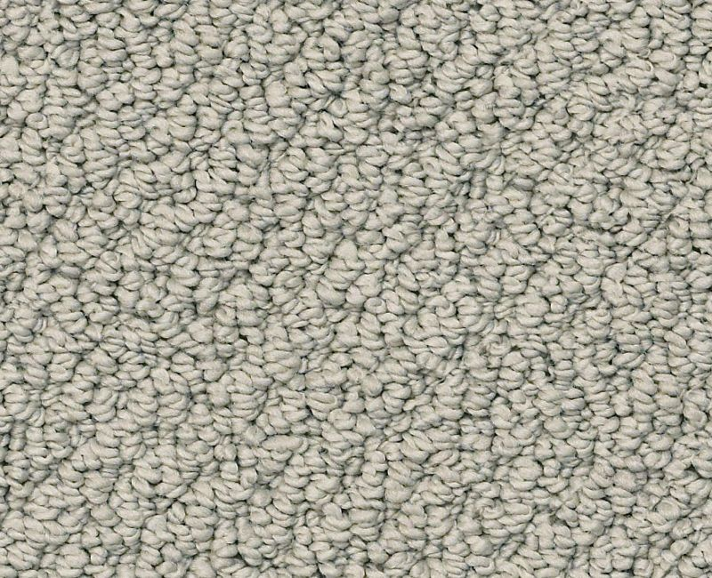 Shaw Gearhart Beach 00570 Slate Loop Nylon Carpet Lowest Price