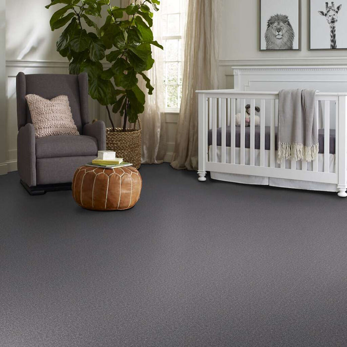 Foundations Sandy Hollow Classic II 15' Slate 00502 Textured Nylon