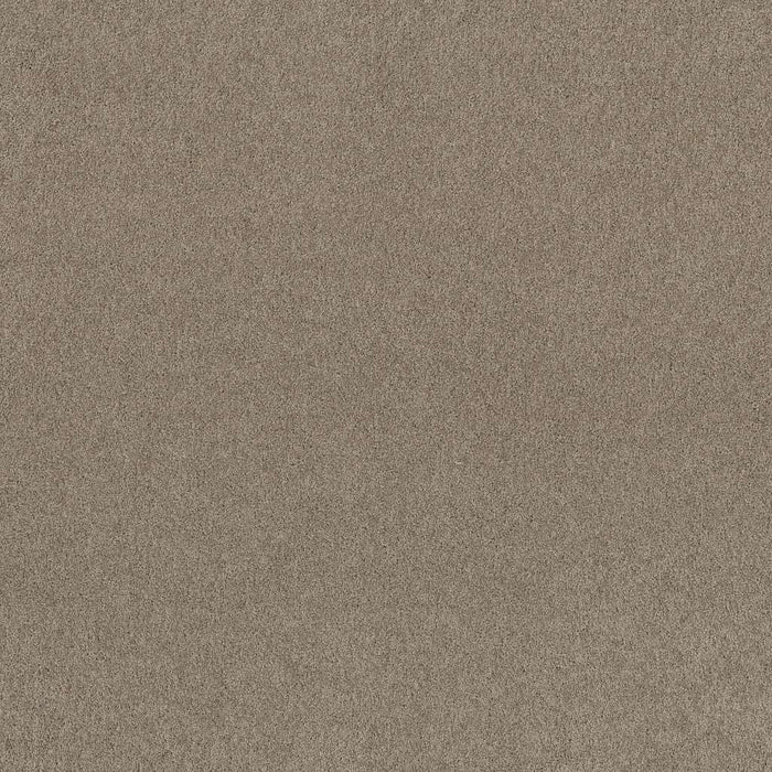 Soft Shades My Choice III Nylon Smooth Slate 00704