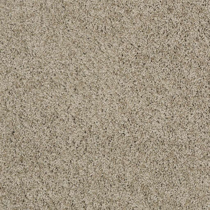 Shaw Floor Studio Around The House II Nylon Smooth Slate 00704