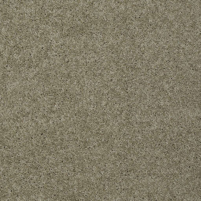 Shaw Floor Studio Around The House I Nylon Smooth Slate 00704