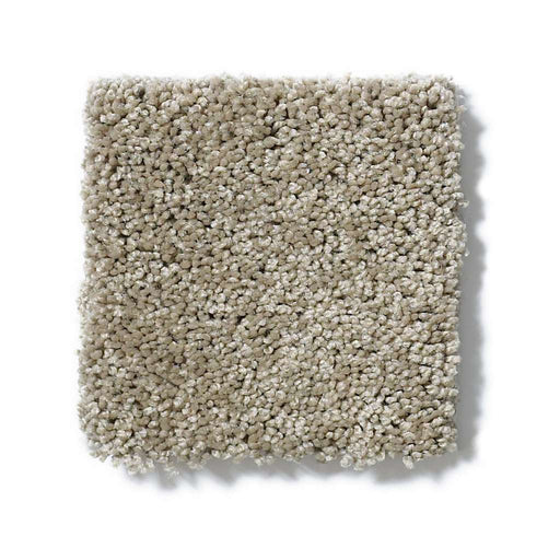 Soft Shades My Choice II Smooth Slate 00704