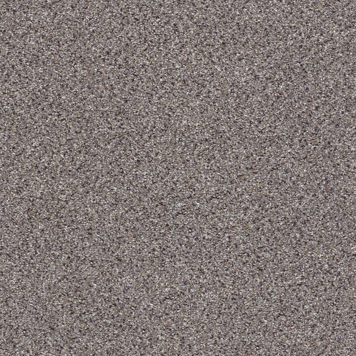 Foundations Take The Floor Accent Blue Nylon Soapstone 00571