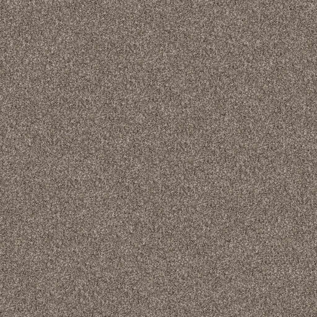 Shaw Pet Perfect Yes You Can I 12' 00112 Soft Sense Polyester Carpet ...