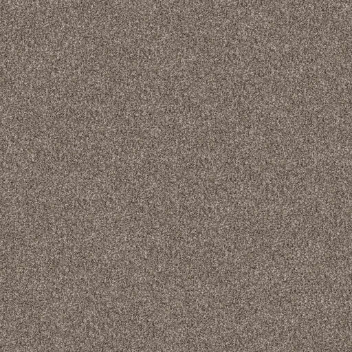 Pet Perfect Yes You Can I 15' Soft Sense 00112
