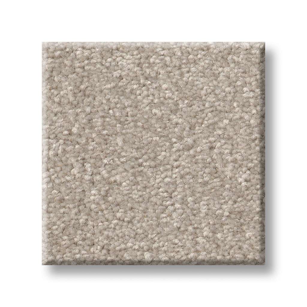 Shaw Pet Perfect Hard At Play III 15' 00112 Soft Sense Carpet — Stone ...