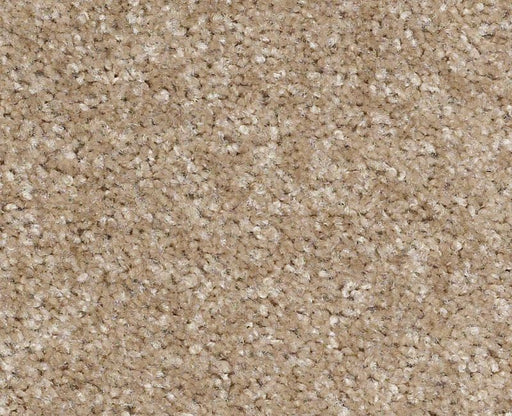 Instant Winner Soft Suede 00706