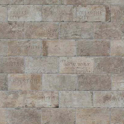 Full Tile Sample - Chicago South Side Deco Porcelain Tile - 4" x 8" x 10.5 MM Matte & Textured