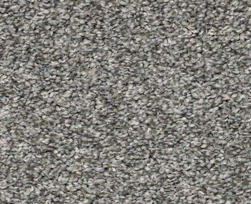 Frappe I Sparrow 00504