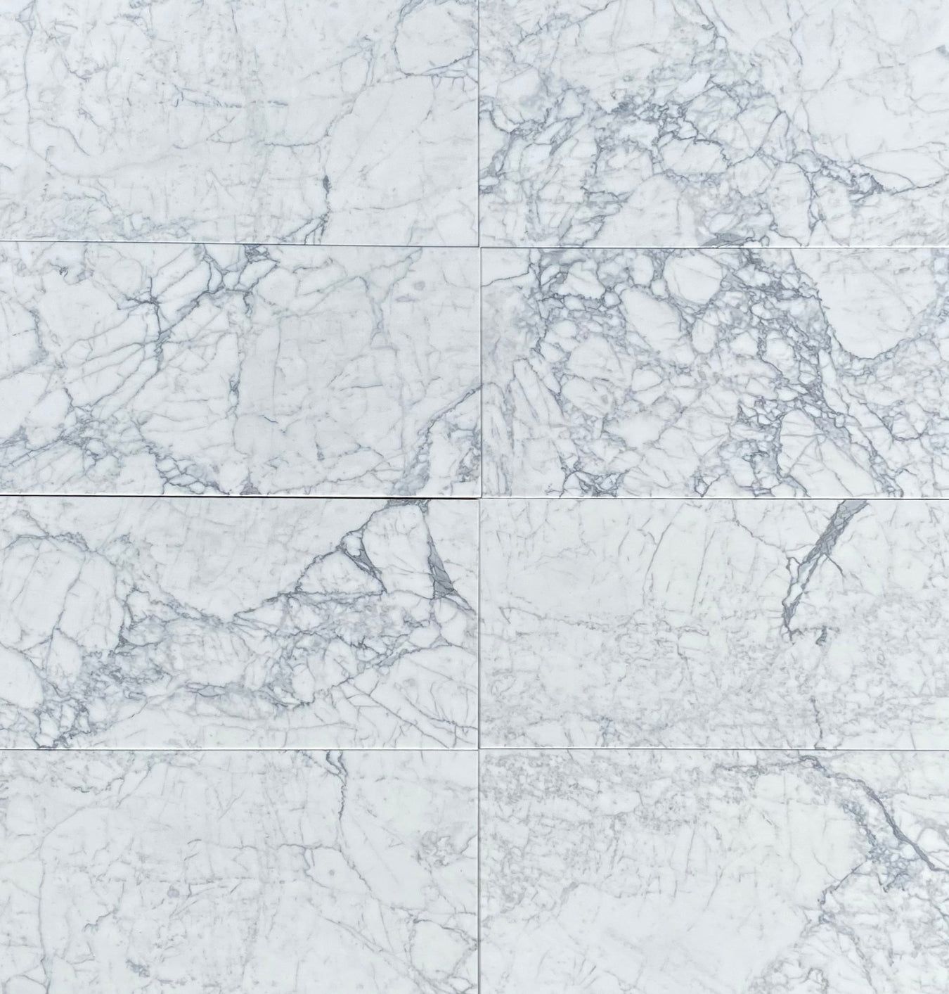 12 x 36 Polished Backyard Tiles