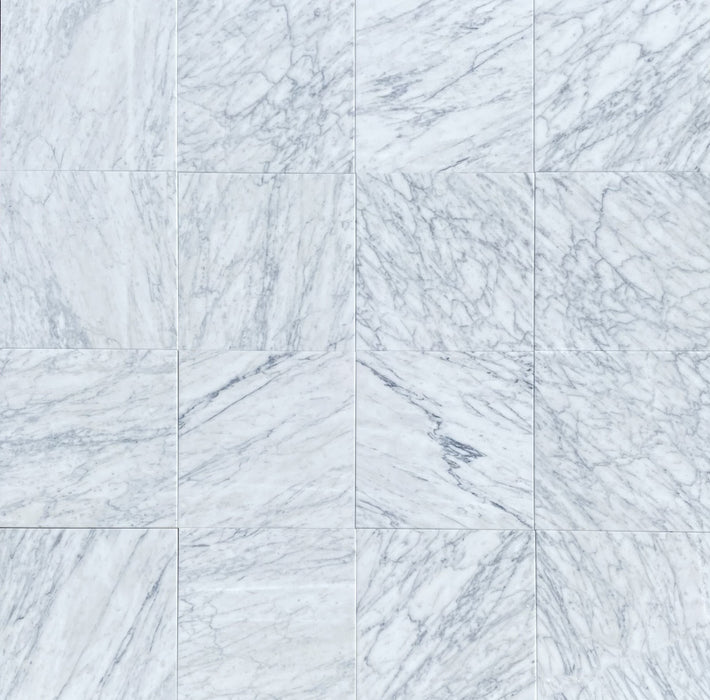 Full Tile Sample - Statuarietto Marble Tile - 16" x 16" x 3/8" Polished