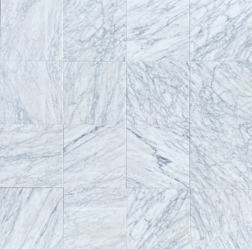 Full Tile Sample - Statuarietto Marble Tile - 12" x 12" x 3/8" Polished