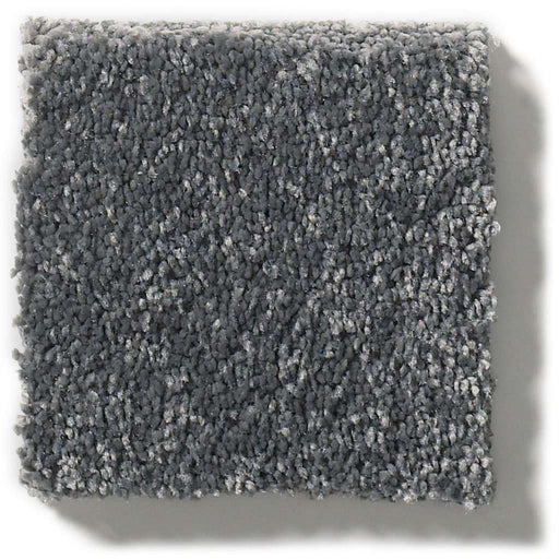 Pet Perfect Plus Basic Rules Steel 00505