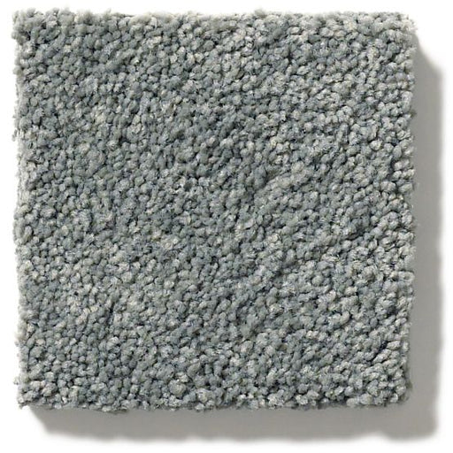 Pet Perfect Pawparazzi II Steel Wool 00545