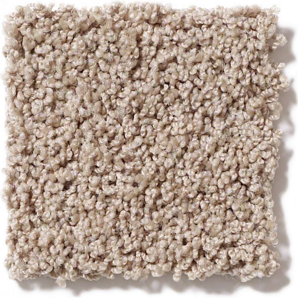 Shaw Lonestar 00109 Storm Textured Nylon Carpet | Lowest Price — Stone ...
