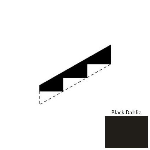 Black Dahlia 001