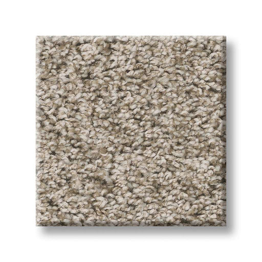 Shake It Up (T) Stucco 00112