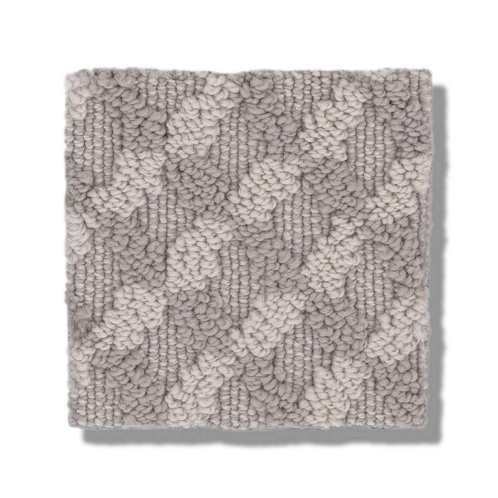 Shaw Caress By Shaw Inspired Design 00724 Stucco Pattern Nylon Carpet ...