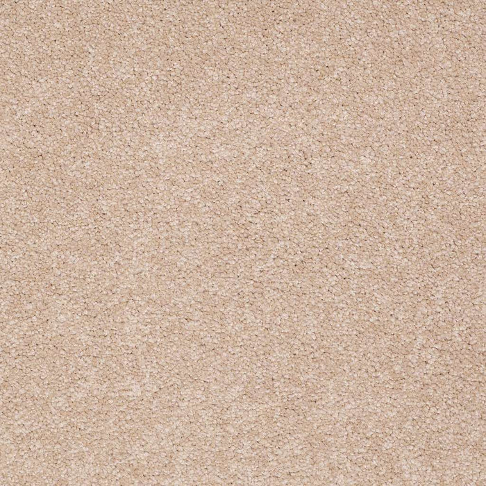 Foundations Sandy Hollow Classic II 12 Nylon Stucco 00110