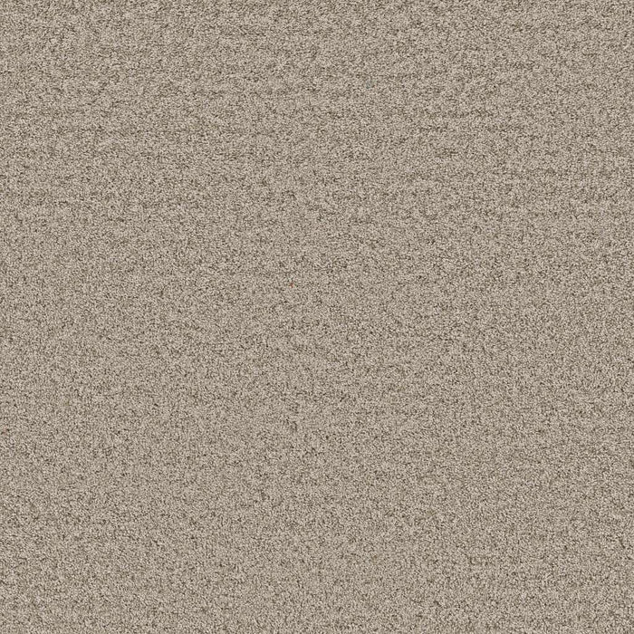 Shake It Up (T) Polyester Stucco 00112