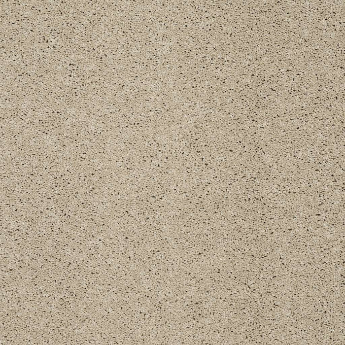 Shaw Floor Studio Around The House II Nylon Stucco 00129