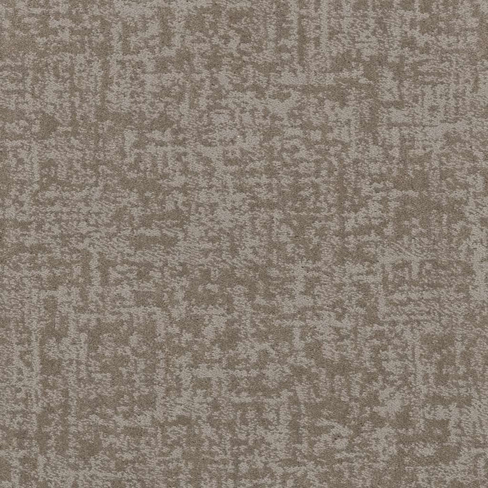 Caress By Shaw Fine Structure Nylon Stucco 00724