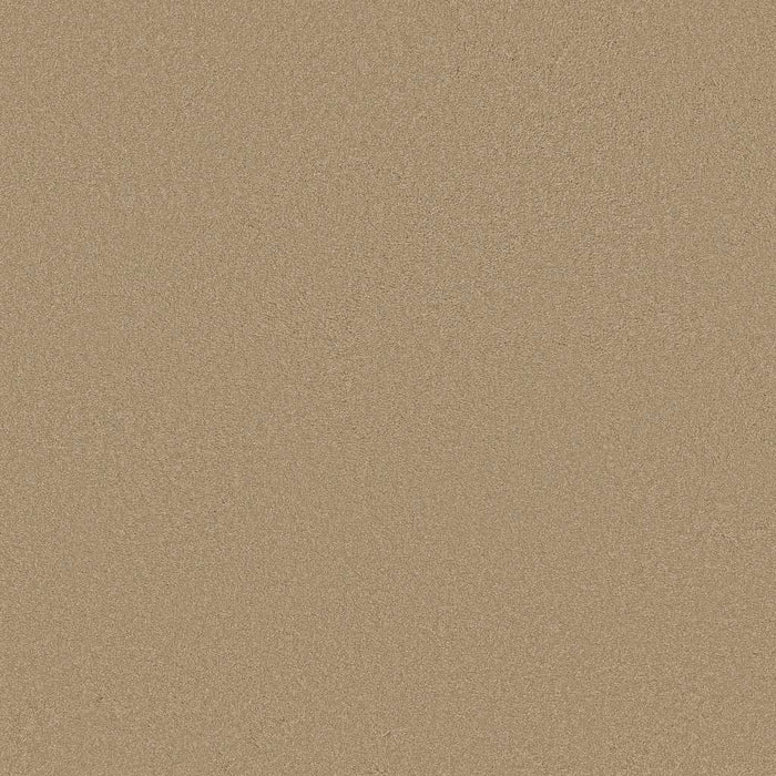 Couture' Collection Ultimate Expression 12' Nylon Stucco 00110