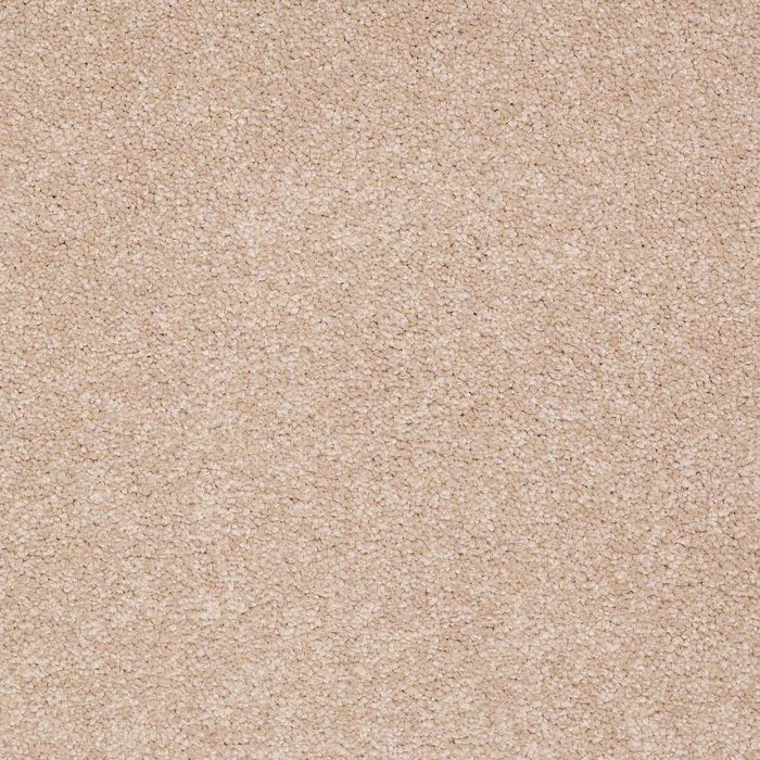 Couture' Collection Ultimate Expression 15' Nylon Stucco 00110