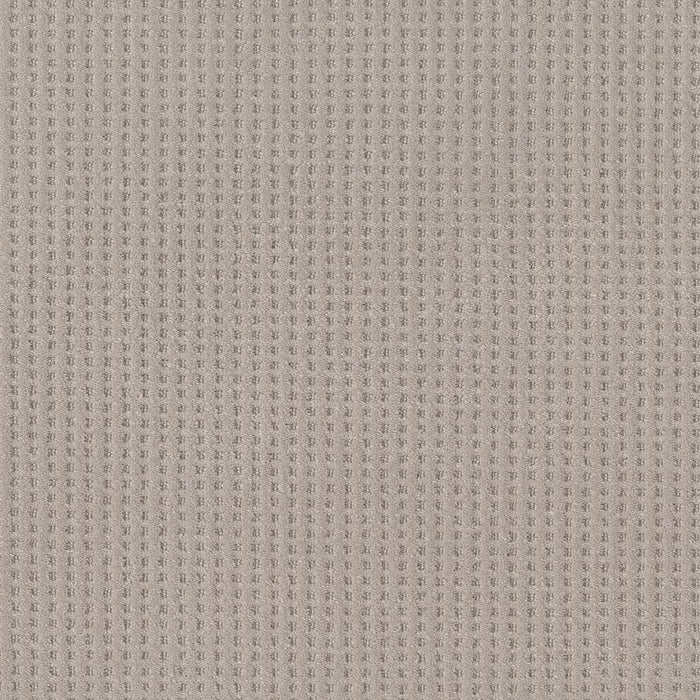 Caress By Shaw Soft Symmetry Nylon Stucco 00724