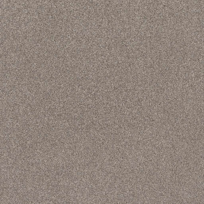 Caress By Shaw Cozy Harbor I Nylon Stucco 00724