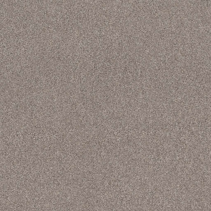 Caress By Shaw Cozy Harbor II Nylon Stucco 00724